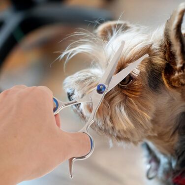 Набір з 2 ножиць для грумінгу тварин з округлою голівкою, нержавіюча сталь, професійний грумінг та домашнє використання, прецизійна заточка, ергономічні ручки