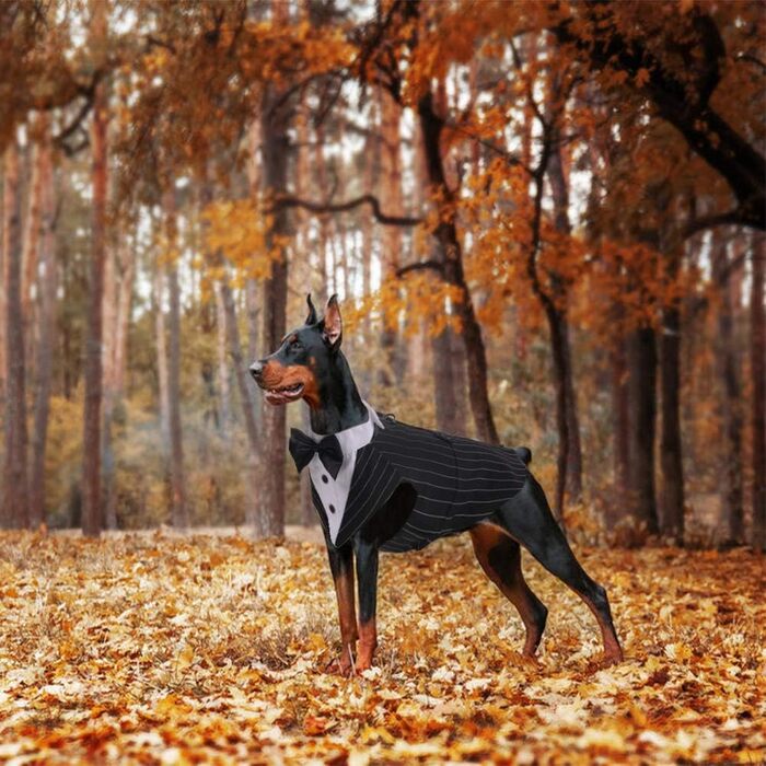Смокінг для собак середнього та великого розміру, костюм, набір для косплею, святковий набір для собак L: обхват грудей 53-65 см, чорно-білий