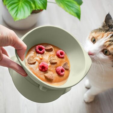 Підвищений миска для кота з регульованим нахилом ne&no® | Миска для кота, піднята | Миска для кота, зелений колір