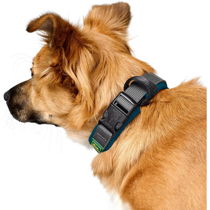 Крісло HUNTER Hasband Madon: дихаюча сітка, міцний нейлон, гіпоалергенне, з регулюванням напруження, вбудований адресник, розмір S, petrol