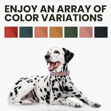 Нашийник для собак BRONZEDOG з шкіри, з QR-ідентифікатором, регульований, м'який, круглий, для собак малих, середніх та великих порід, цуценят, котів (Cognacbraun, 28-36 см)