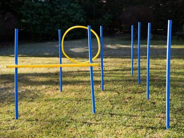 Набір для аджиліті для собак: слаломні стійки, бар'єри та кільце. Тренування собаки вдома, собачий спорт