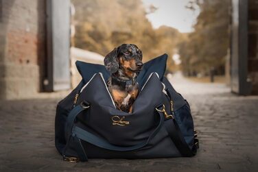 Еліанн | Дизайнерський автокрісло для собак | Навігатор, синій | Міцне | Дизайнерський бренд | Для собак маленьких та середніх порід | Підвищене автокрісло для собак