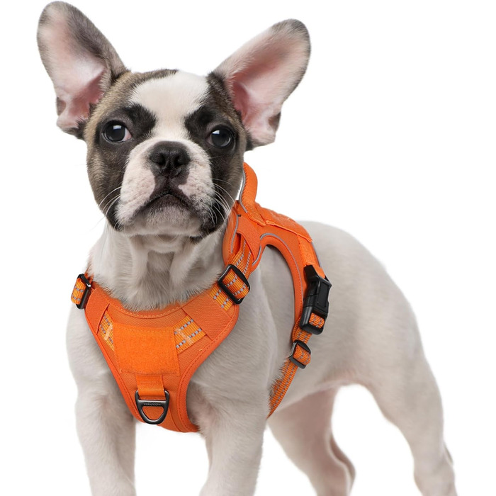 Нашийник для собак Rabbitgoo середнього розміру, анти-тяга, регульований з ручкою, міцний, тактичний, з металевими пряжками, для прогулянок (M, Оранжевий)