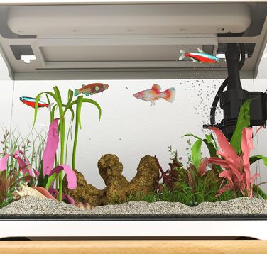 Акваріум PawHut з LED-підсвіткою, фільтром і водяною помпою, 17 л, білий, для тропічних риб