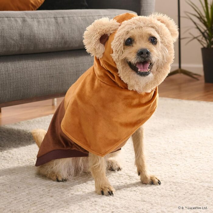 Худі-костюм Євока Star Wars: офіційний, з капюшоном та навушниками, розмір M, багатокольоровий