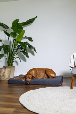 Ортопедичне ліжко для собак Beeztees Zira, сірий, 120x80x10 см