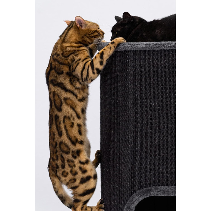 Petrebels Дряпка для котів - дряпка-домик, 110 см, чорна