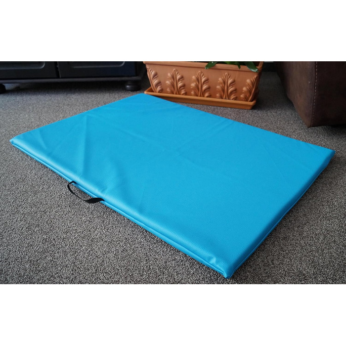 Килимок для собак, лежанка для тварин, двосторонній, штучна шкіра, піна, 3 см (блакитний)