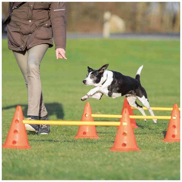 Набір для тренування собак Trixie Dog Activity Agility (смуга перешкод)