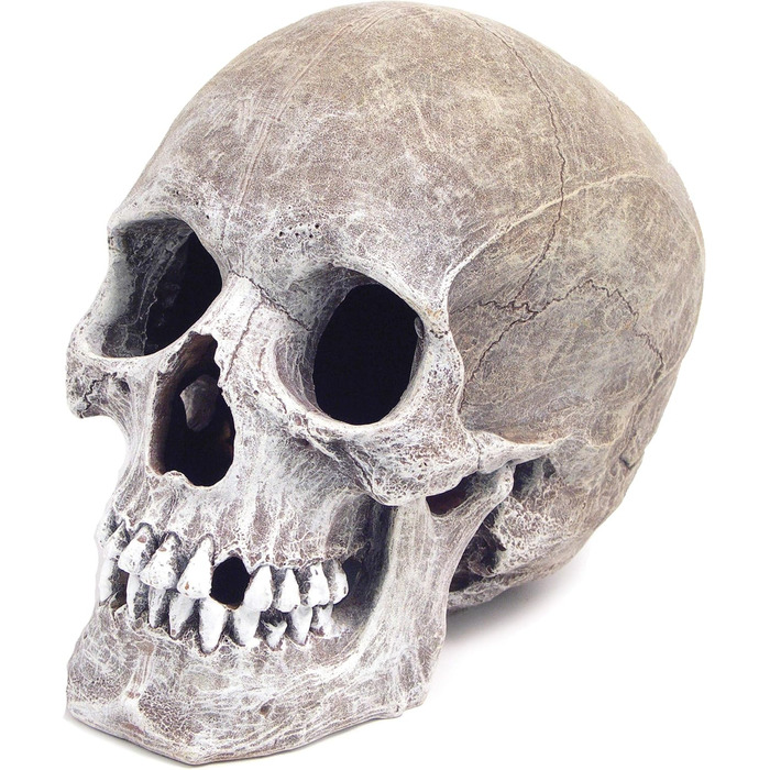 Декорація для акваріума Blue Ribbon Rosewood - Реалістичний череп людини, 15.2 x 20.3 x 15.2 см