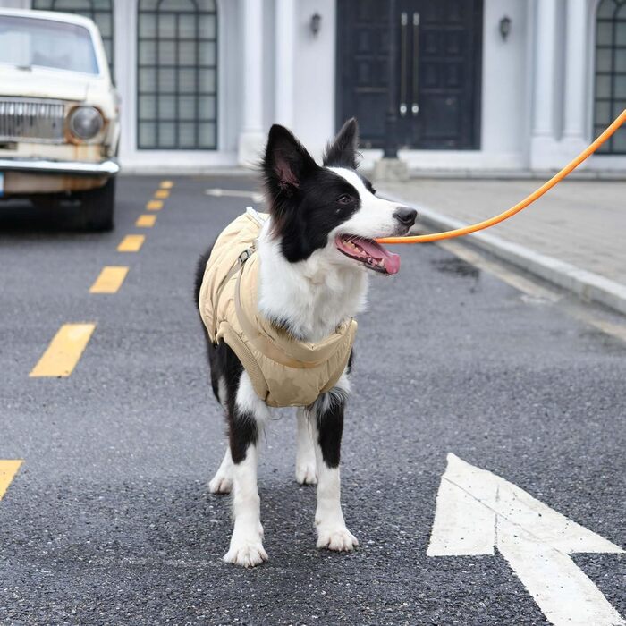 Тепла куртка для собак середнього розміру, XL, Khaki, з інтегрованим шлейкою, флісова підкладка, для зими, вітронепроникна