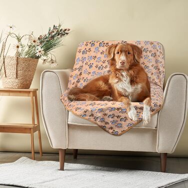 М'яка ковдра для домашніх тварин: собак, котів, цуценят. Легка, тепла, миється. Розмір M, з принтом лапки