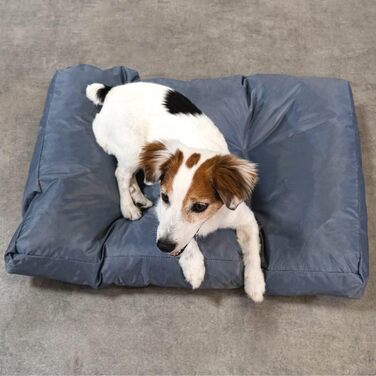 Ліжко для собак Bananair - м'яке та зручне, XXL, 75 x 50 x 10 см, сірий колір, водонепроникний матеріал, легко миється. Підходить для маленьких та великих собак