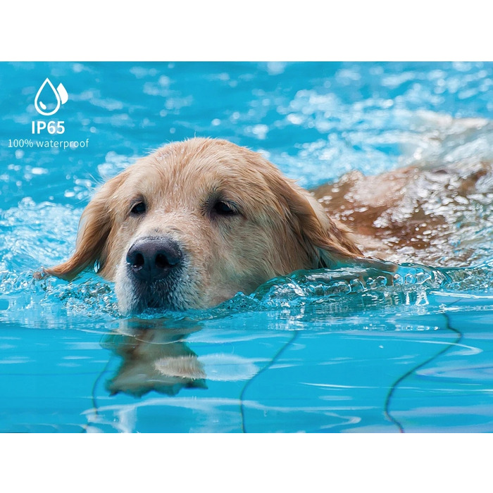 Електричний нашийник для дресирування собак з пультом дистанційного керування та великим радіусом дії