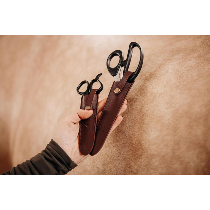 Набір ножиць для догляду за кіньми: ножиці для хвоста та гриви, з чохлом. Нержавіюча сталь, ергономічний дизайн, ідеально для догляду за хвостом та гривою.