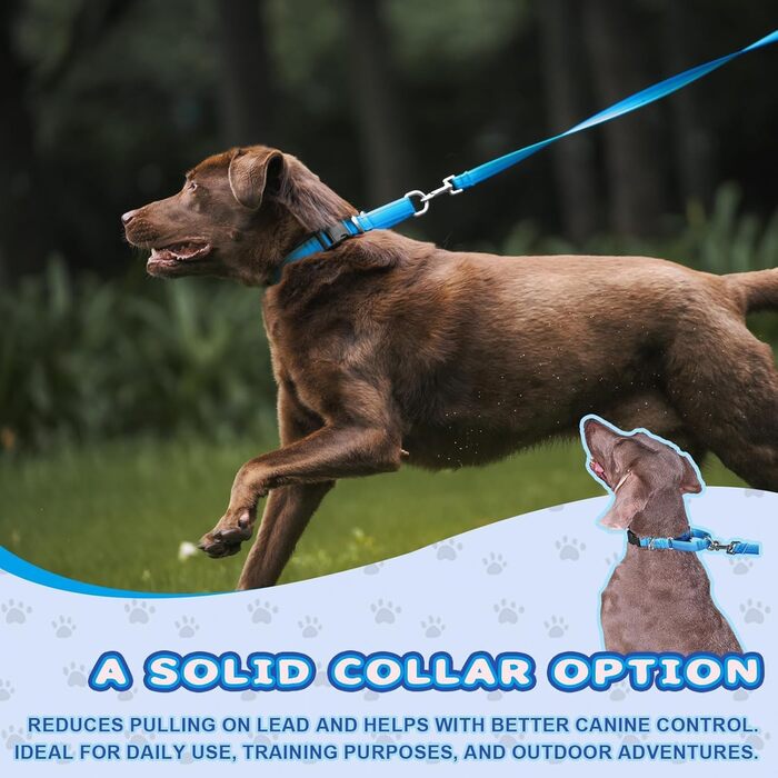 Нашийник для собак Martingale, світловідбиваючий, з зупиняючим ефектом, для великих, середніх та маленьких собак, нейлон, синій, розмір L