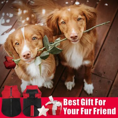 Тепла флісова жилетка для собак Idepet з блискавкою та кільцем для повідка, для холодного зимового періоду, для маленьких та середніх собак (Червоний/Чорний, L)