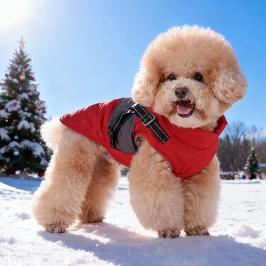 Тепла зимова куртка для собак середніх та маленьких порід, вітронепроникна, з шлейкою, для активного відпочинку та катання на лижах (червона, розмір S)