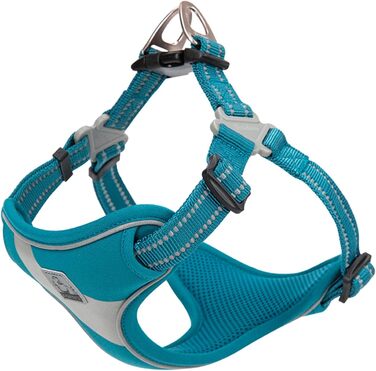 Світловідбиваючі нашийники для собак Truelove TLH5991 (S, Blue) - для малих та середніх порід