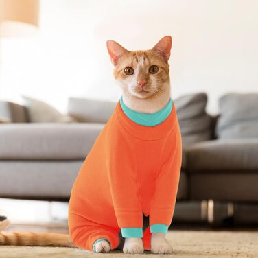 Флісовий пуловер для кота, теплий зимовий одяг для котів, комбінезон з високим коміром, теплий одяг для кошенят на осінь та зиму (AreeGrün, ) AreeGrün (S, Orange)