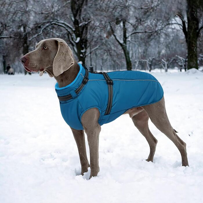 Водонепроникна зимова куртка для собак Lelepet Weimaraner XXL з флісом, утеплена, з вбудованою шлеєю та світловідбивачами, для великих порід