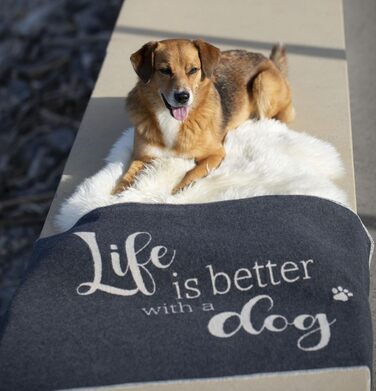 Підстилка для тварин David Fussenegger Life is Better Dog, маленька, антрацитова, 90x70 см, 7319/98