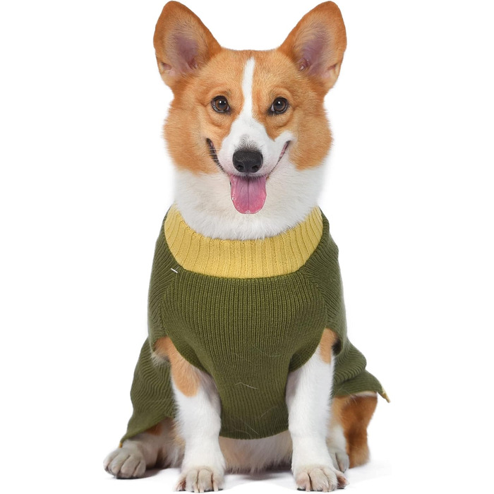 Пуловер для собак Star Wars Boba Fett, розмір M (Medium) | Пуловер для собак Boba Fett | Одяг для домашніх тварин, пуловер для собак | Подарунок для шанувальників Star Wars, подарунок Boba Fett, зелений
