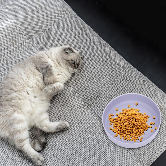 Набір мисок для котів (3 шт.) - зелений, рожевий, фіолетовий, 18 см, силікон, для сухого та вологого корму