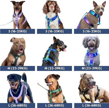 Нашийник для собак Spark Paws No-Pull – фіолетовий, L (36-68 кг) – для великих порід, Pitbull, Боксер