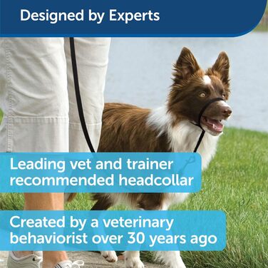 Шлейка для собак PetSafe Easy Walk, чорна, середнього розміру (M/L)