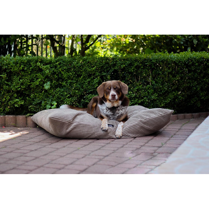 Килимок для собак 4L Textil ZOE: м'який, зручний, з блискавкою, для великих собак, з можливістю прання (графіт, смужки)