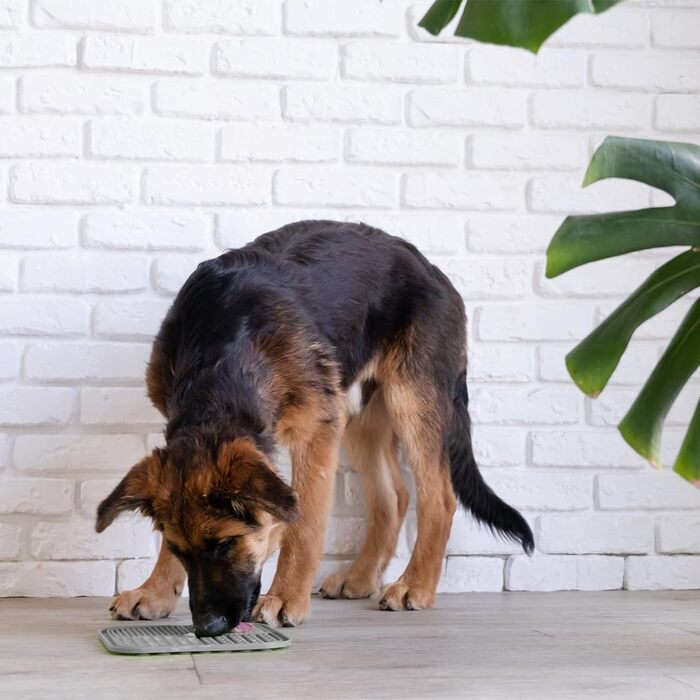 Мат для ліплення + шпатель - 20 x 20 см (Сірий)