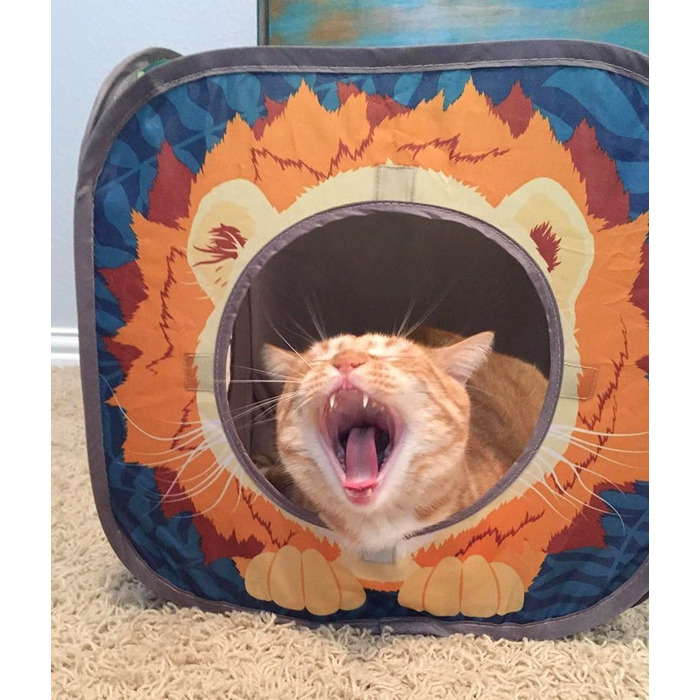 Ігровий комплекс для котів Kitty City Jungle Cat Cube – складаний куб, тунель, ліжко, іграшка для котів