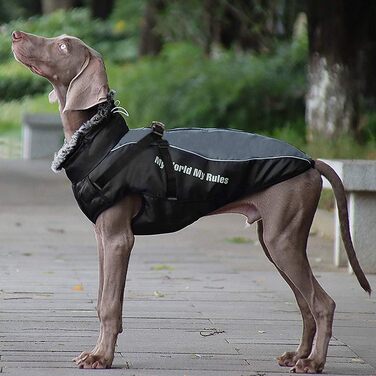 Didog водонепроникна зимова куртка для собак з шлейкою та хутряним коміром, сіра, розмір 6XL, теплий одяг для великих і середніх порід