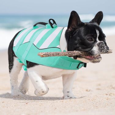 Рятувальний жилет для собак ASENKU - спортивний стиль, регульований, для дзерка, чихуахуа, французького бульдога, лабрадора (XXL, зелений)