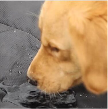 Водонепроникний килимок для собак на вулицю, ковдра для собак у подорож, миється, антистатичний, гігієнічний, складаний, великий килимок для тварин 120x70 см