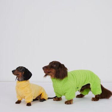 Теплий флісовий комбінезон для собак з мотивом такси, флісовий светр, підходить для такс, зимовий, м'який, зручний, піжама для собак, одяг (темно-зелений, розмір M), темно-зелений (XS(2.5kg), світло-зелений)