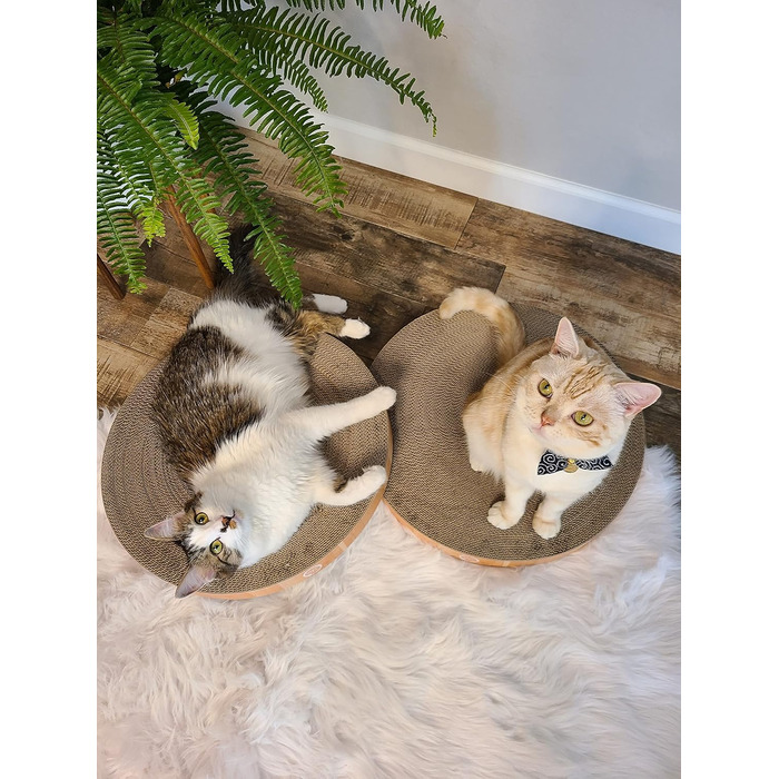 Кігтеточка-лежанка Necoichi Cozy Kratznapf для котів, 1.31 кг (підкладка дуб, Regular)