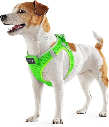 Світловідбиваючий нашийник для собак PcEoTllar з LED підсвічуванням (3 режими), зелений, для маленьких та середніх собак