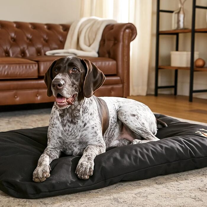 Килимок для собак, лежанка для собак - великий, середній, маленький, водонепроникний, м'який, для дому та на вулицю, 90x60x8 см (чорний)