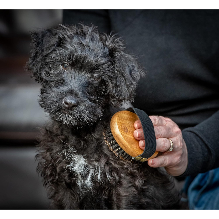 Набір для догляду за шерстю Міккі 6280004 для цуценят та молодих кошенят: щітка з щетиною та гребінець, для собак та котів, з бамбука, 130 г