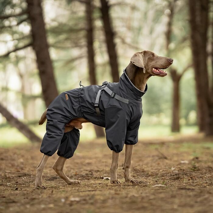Дощовик для собак PAWBOSE, водонепроникний, для маленьких, середніх та великих собак, з інтегрованим кріпленням для шлейки, сірий, XL