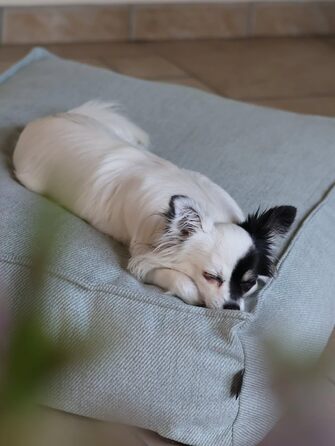 Ортопедичне ліжко для собак Flamingo Baldar – прямокутне, бежеве, 80 см. Комфортне місце для сну з подушкою Baldar, 80x60x18 см