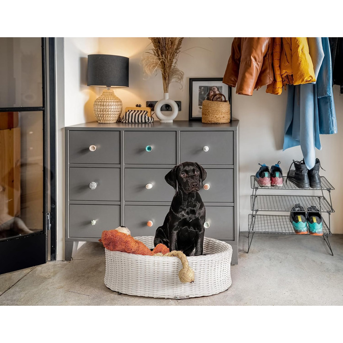 Крісло-ліжко для собак Greemotion з білого поліротангу з подушкою, 85 x 25 x 75 см