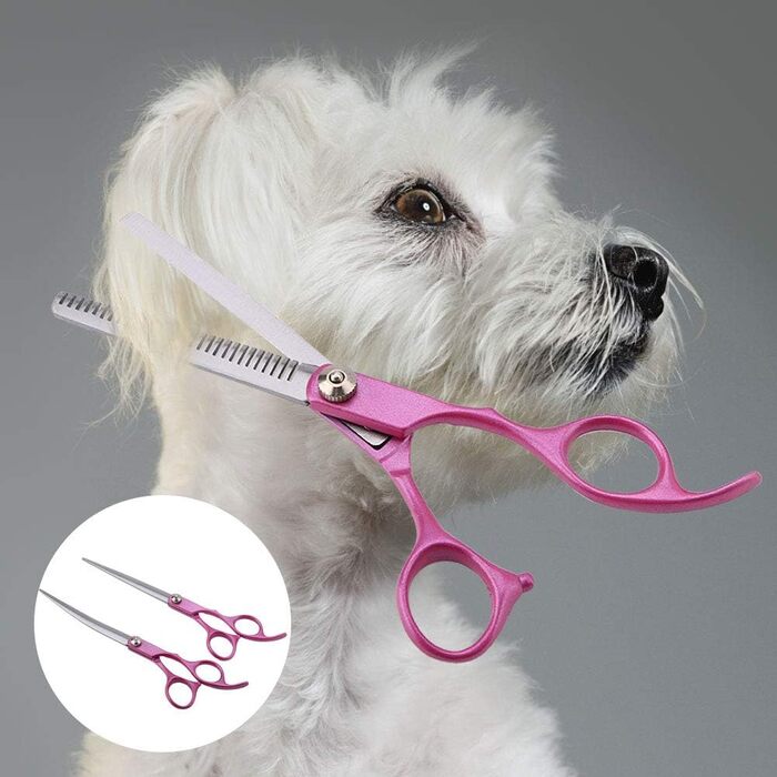 Професійний набір для грумінгу домашніх тварин SYH&AQYE: 4 ножиці для собак та котів, випрямлені та зігнуті моделі, з гребінцем