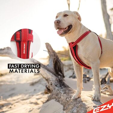 Шлея Ezydog Corduroy XL для собак 56-97 см 35-41 кг