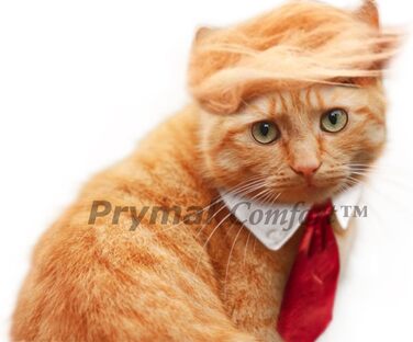 Костюм на Хелловін для кота/собаки: Трамп, жовтого та червоного кольорів