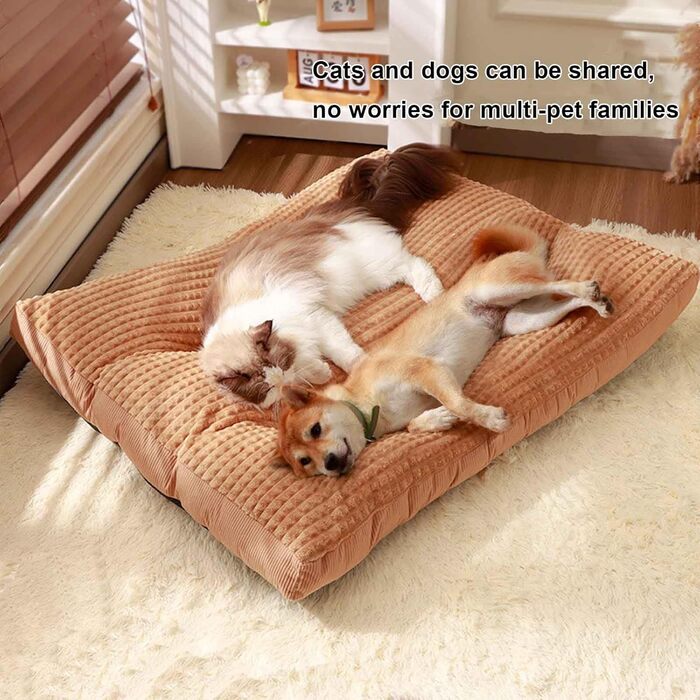 Ліжко для собак, подушка для собак, матрац у коробку для собак з антиковзким дном, собаче ліжко для маленьких, середніх та великих собак, знімний та пральний чохол, зелений, XXL, Green