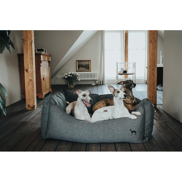 Софа для собак HUNTER Livingston, ліжко для собак, класичний дизайн, тканина, S, антрацитовий колір, 60x43x16 см